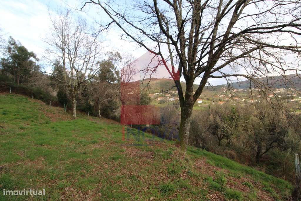 Terreno florestal, Duas Igrejas - Grande imagem: 4/7