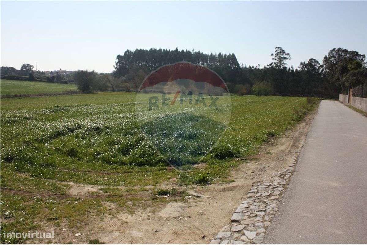 Terreno  para venda - Grande imagem: 4/8