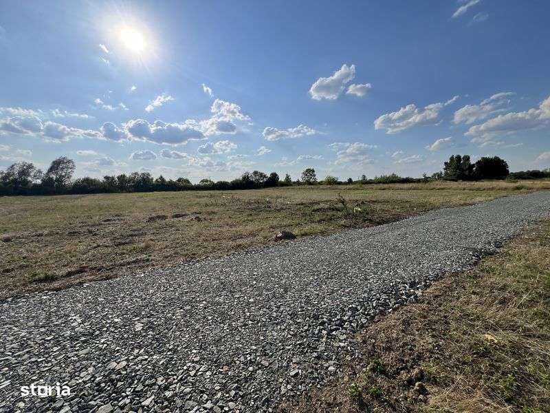 teren bucovat vand urgent - Imagine principală: 5/5