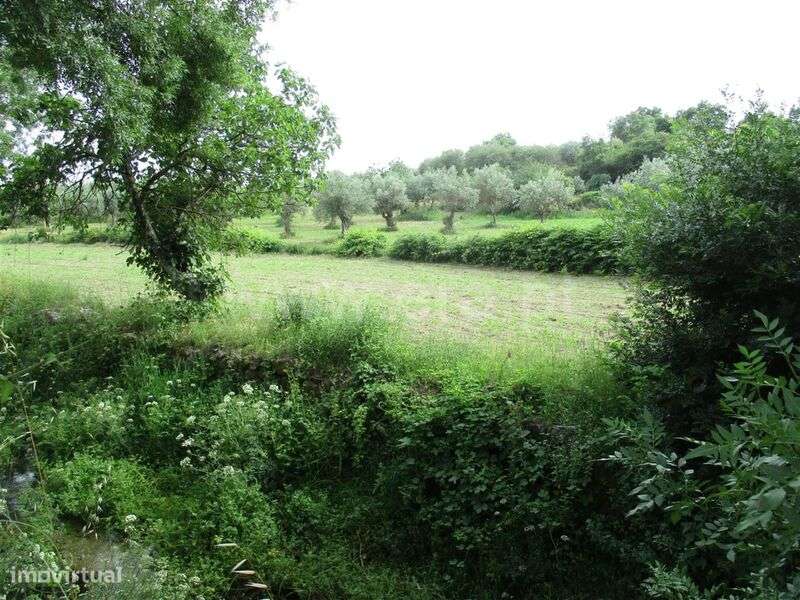 Quinta Estúdio / Fundão, Póvoa da Atalaia - Grande imagem: 3/12