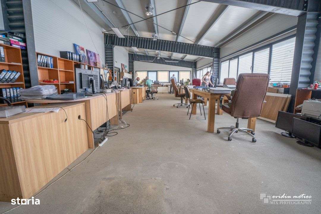 Hale in parcul Tetarom I-7