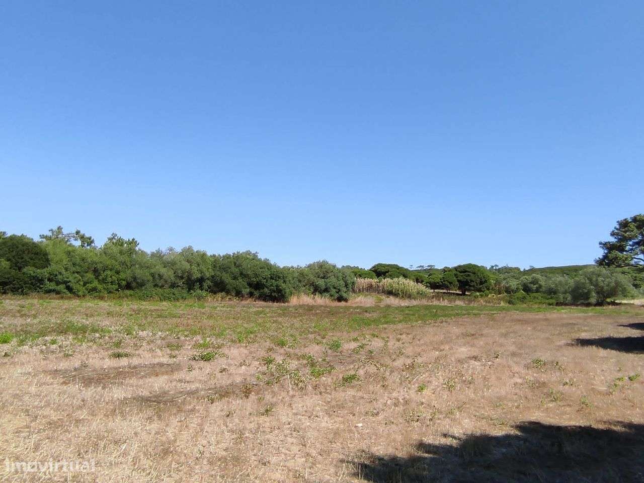 Terreno de 15.600m2 a minutos da Praia da Foz _ Meco, Sesimbra - Grande imagem: 3/4