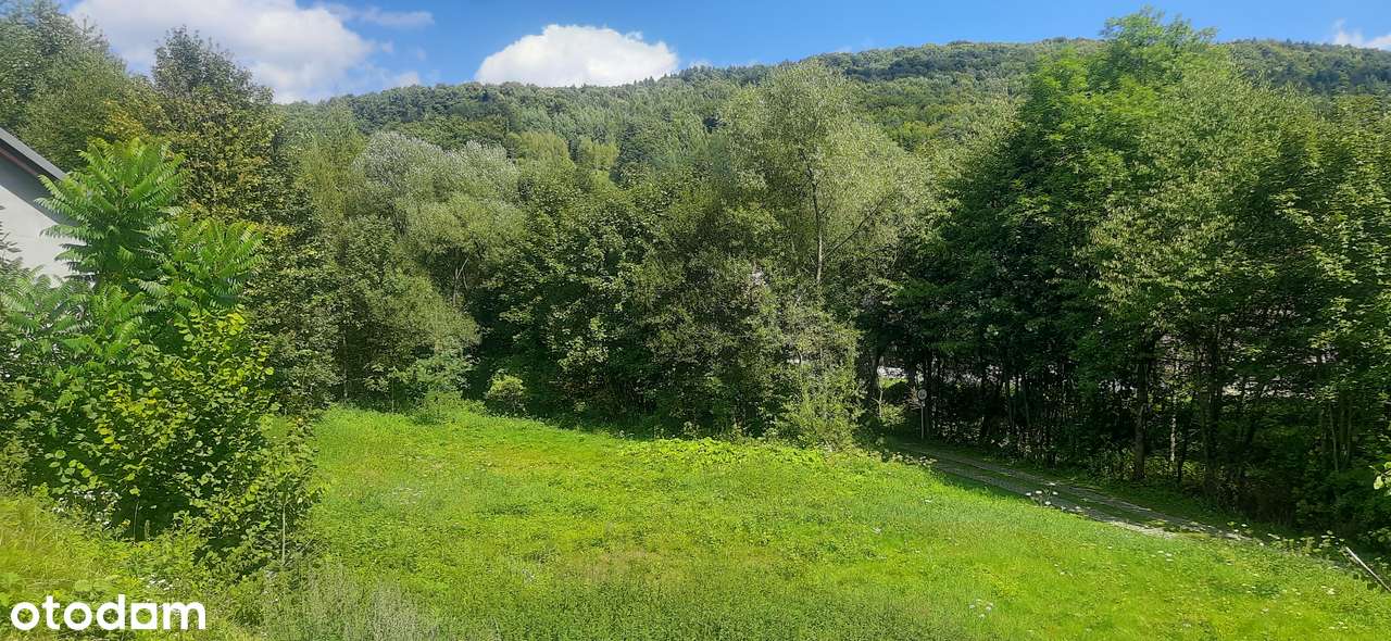 Ciekawa działka pod zabudowę, z budynkiem i dostępem do drogi - Pełny obrazek: 4/7