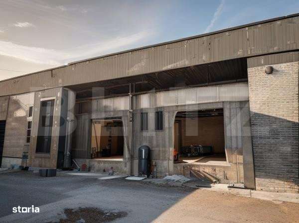 Hale cu suprafete de 100-500 mp, posibilitate realizare modificari, zo - Imagine principală: 4/4