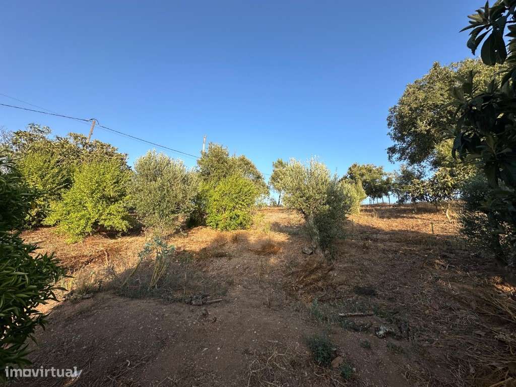 Monte Alentejano com 3,4 ha de natureza e potencial turístico-36