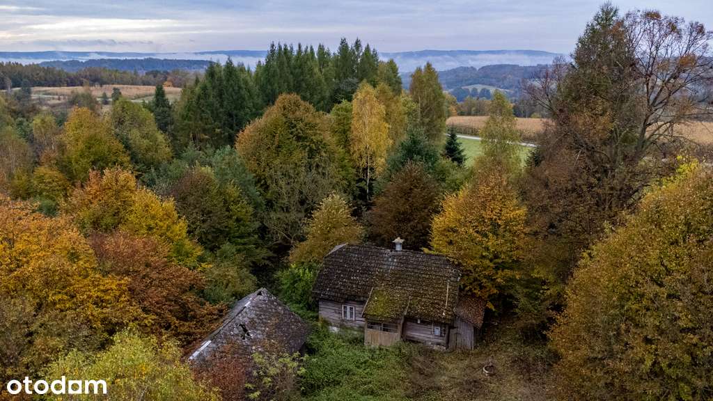 Działka z zabudowaniami | Drewniany dom - Laskówka - Pełny obrazek: 4/17