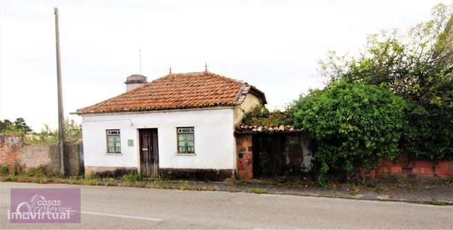 Moradia para reconstruir e terreno Localizado em Ervedeira Coimbrão-2