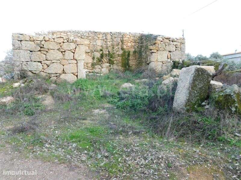 Moradia / Fundão, Alpedrinha - Grande imagem: 4/8