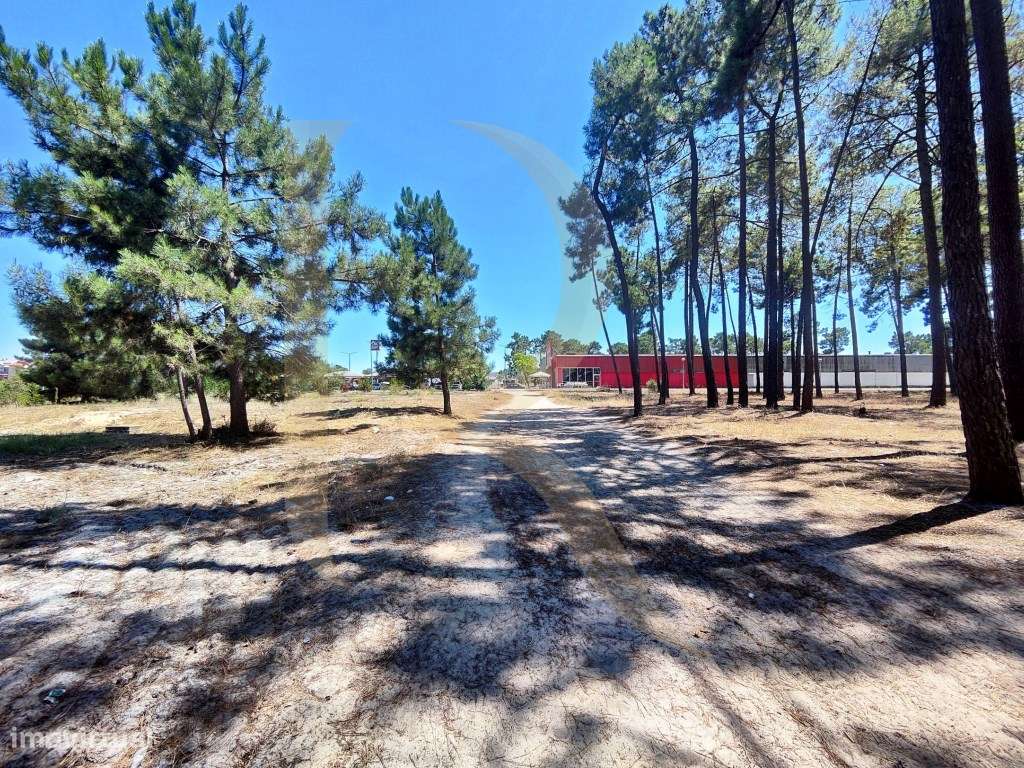 Venda conjunta de 105 lotes de terreno na Urbanização Pinhal de Neg...-8
