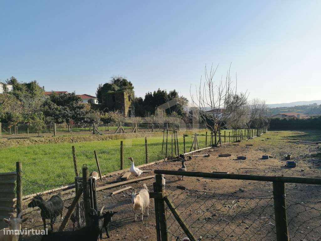 Terreno com 2.430 m² e Ruína em Ribeirão-13