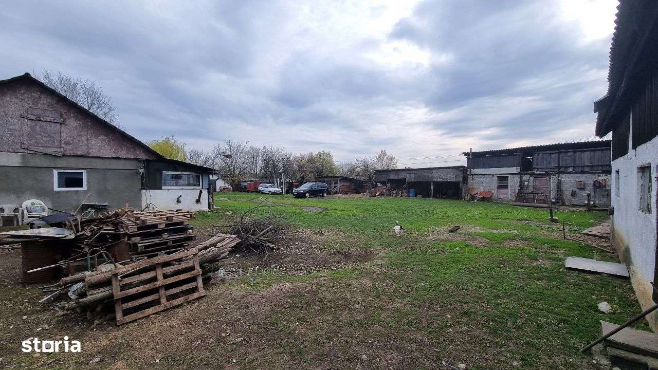 Teren 3980mp cu casa si anexe-Pecica - Imagine principală: 5/10