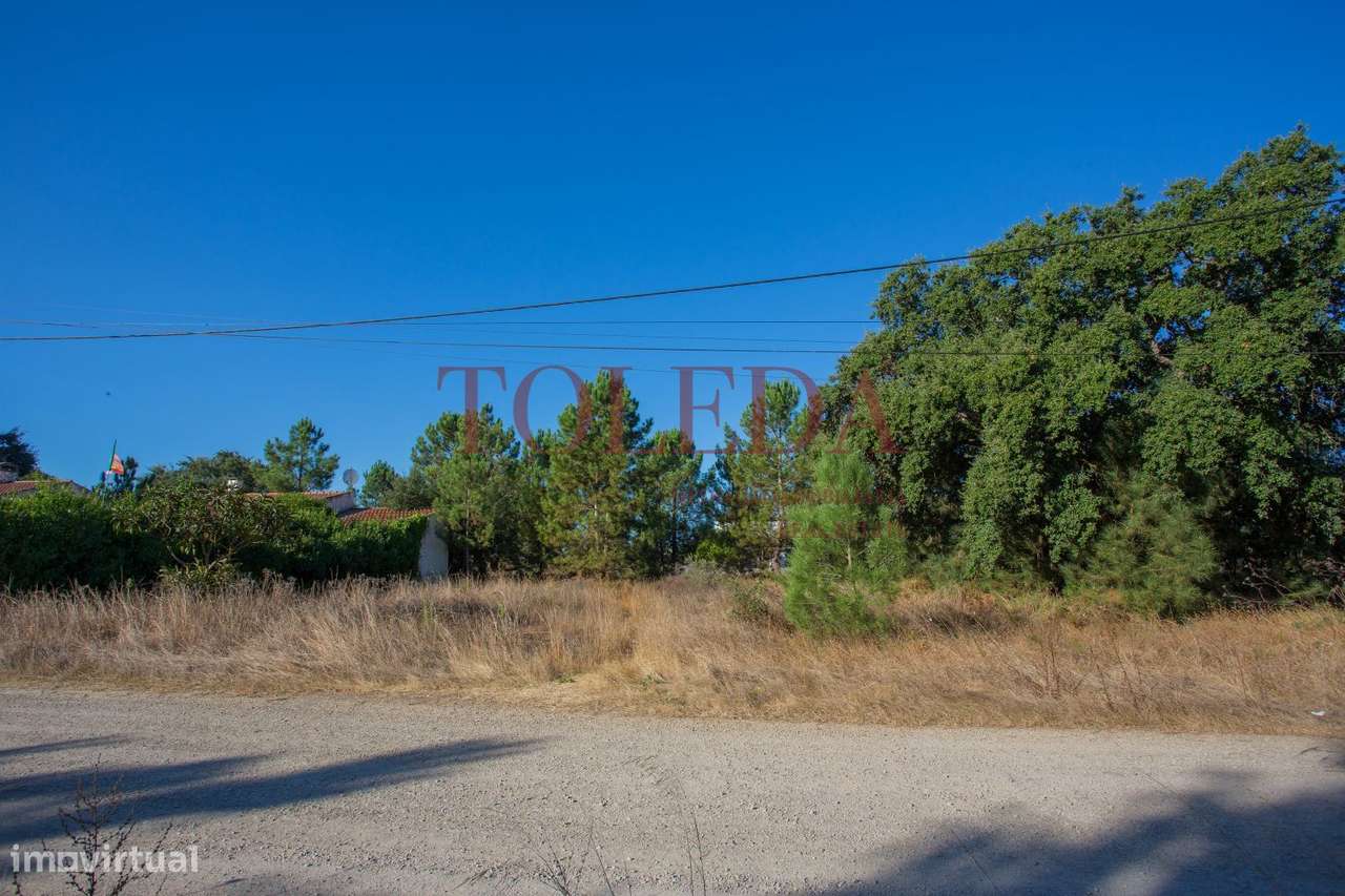 Terreno Monte Lagarto - Palmela - Grande imagem: 5/21