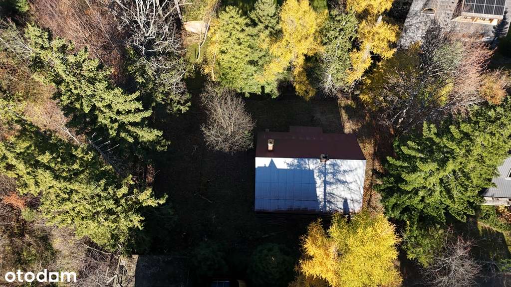 Działka z domem do remontu przy Parku narodowym-7