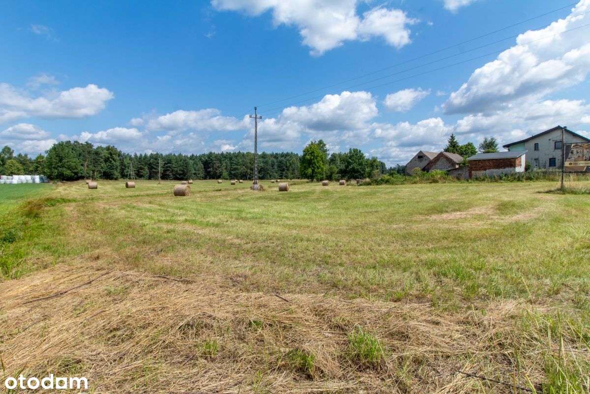 Działka budowlana Woźniki, atrakcyjna cena! - Pełny obrazek: 5/20
