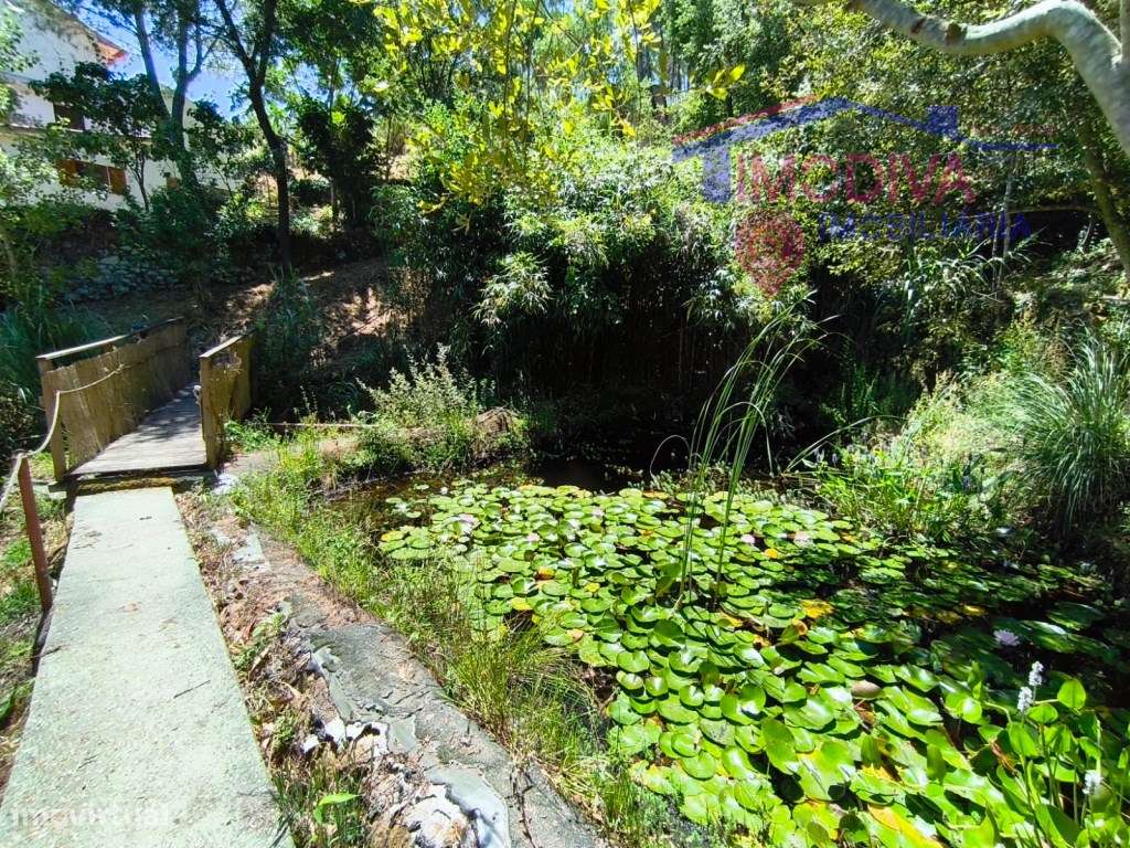 Propriedade com moradia, anexo, piscina e terreno com mais 2 ha-15