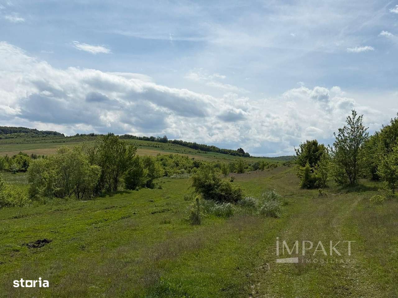 Teren de vânzare în Salistea Noua! - Imagine principală: 4/4