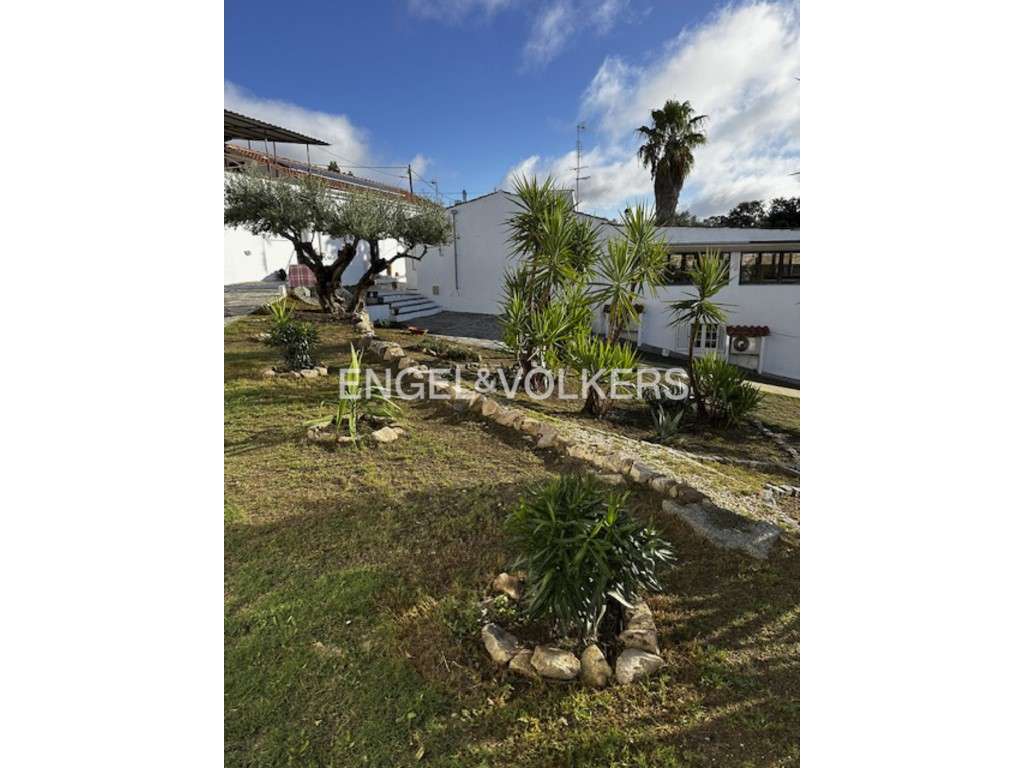 Quinta de Turismo em Carapatello no Alentejo - Grande imagem: 5/45