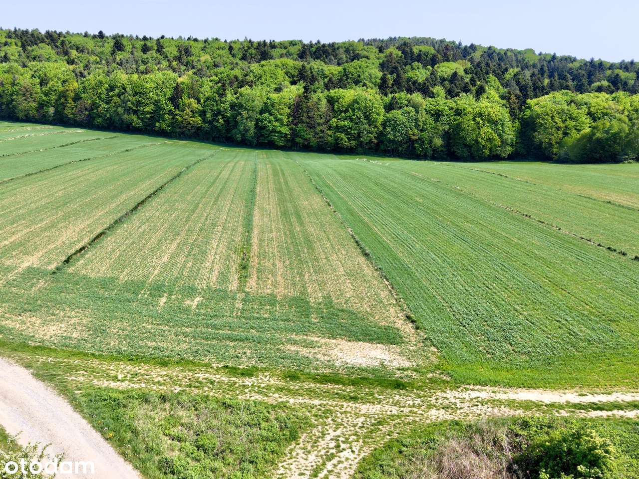 Ojcowski Park Narodowy - Pełny obrazek: 5/6