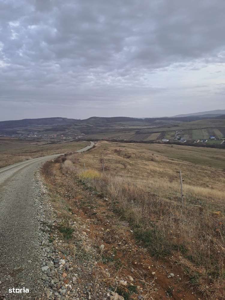 Teren extravilan la limita cu intravilanul 14 ha RECEA MICA-2