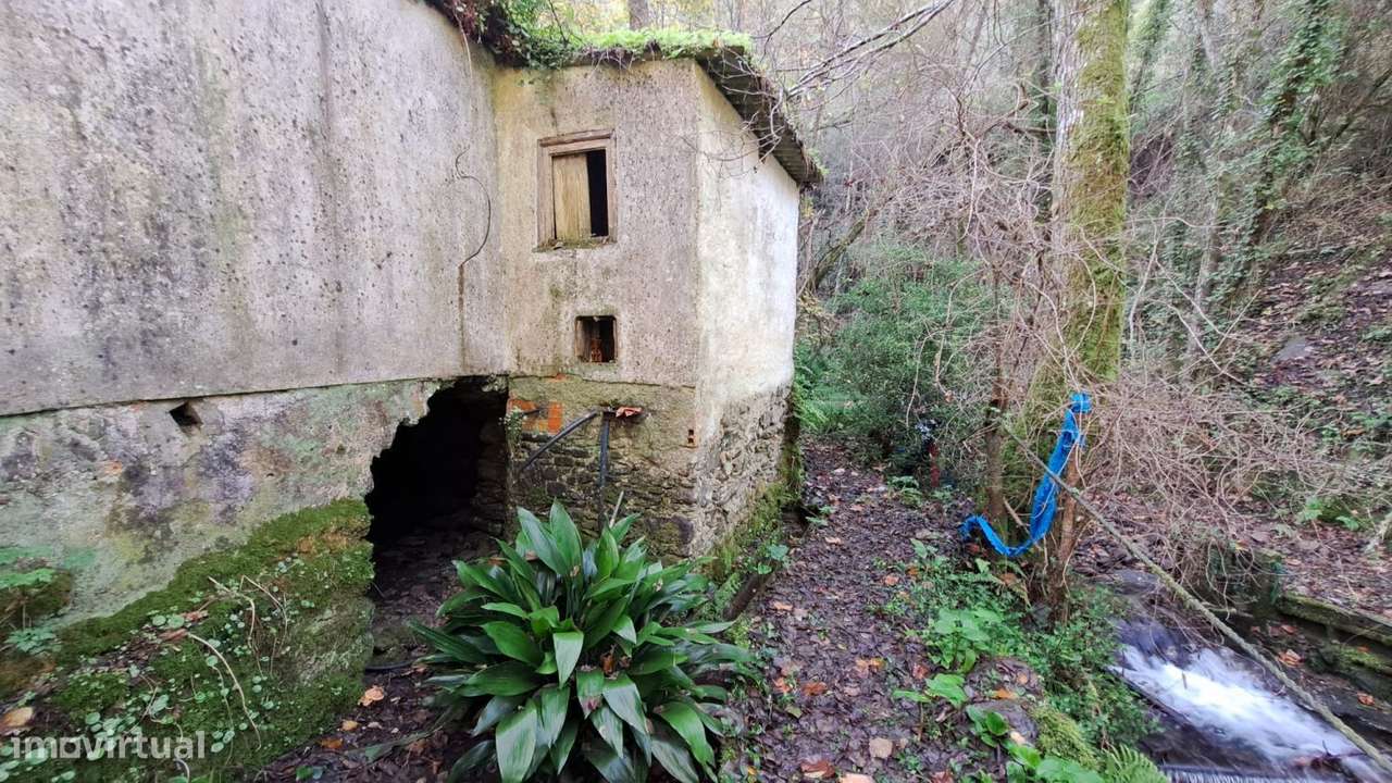 Quinta com casa para recuperar junto a ribeiro-21