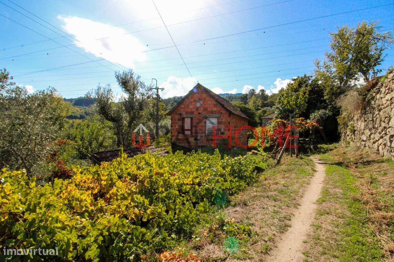 Quintinha para Recuperar em Cinfães - Grande imagem: 5/24