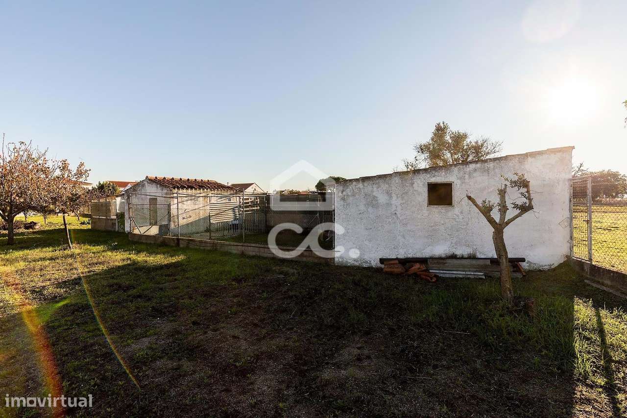 Terreno de  1.350 m² c/ Anexo de Apoio Agrícola | Canaviais, Évora-11