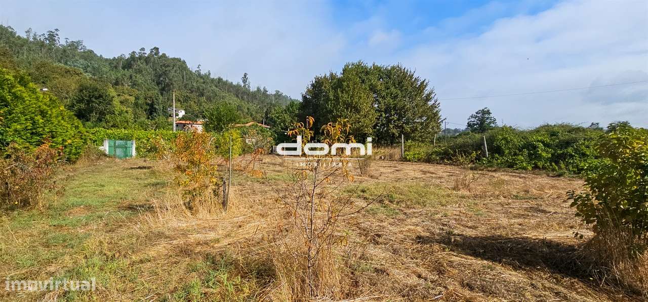 &#127807; Terreno Rústico com 2.000 m² – Várzea - São Pedro do Sul - Grande imagem: 4/8