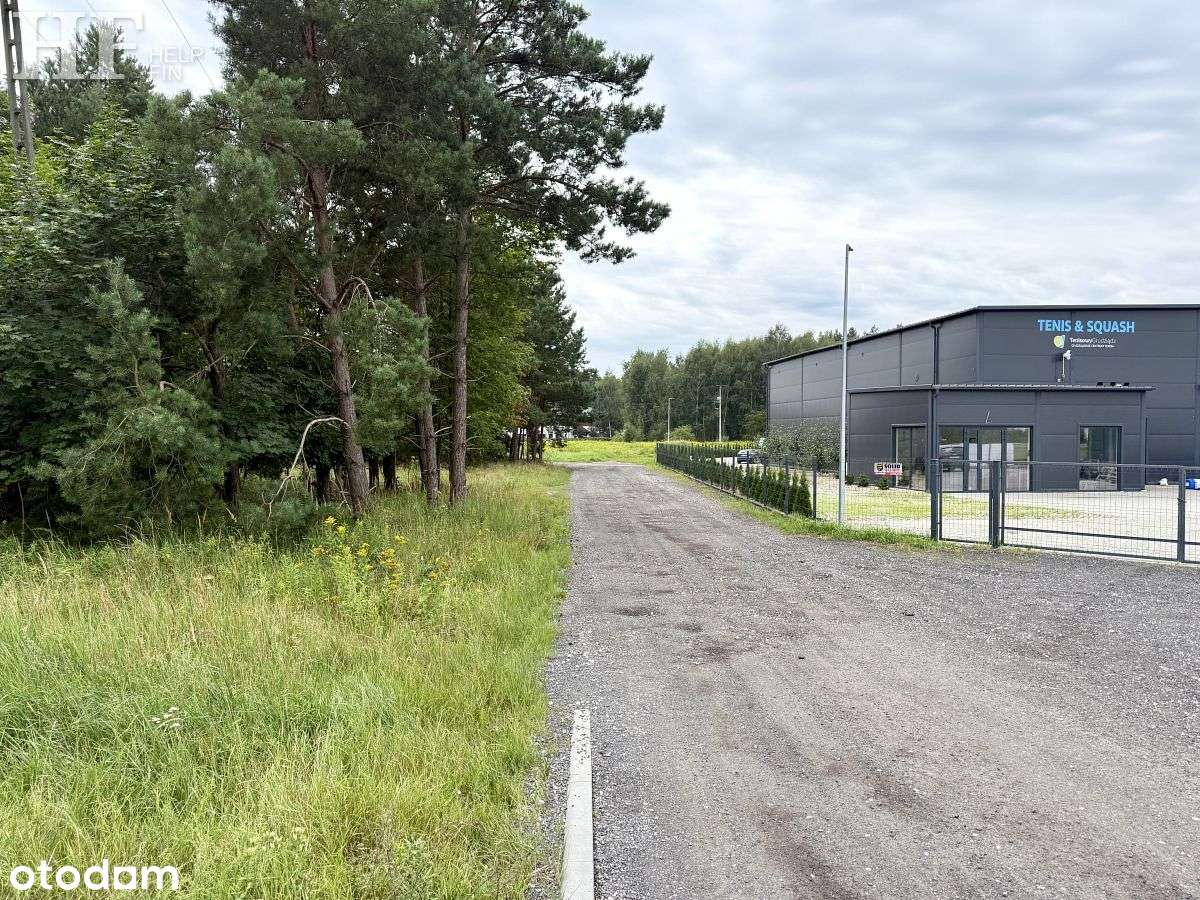 3 działki budowlane-  Warszawska,  las - Pełny obrazek: 3/10