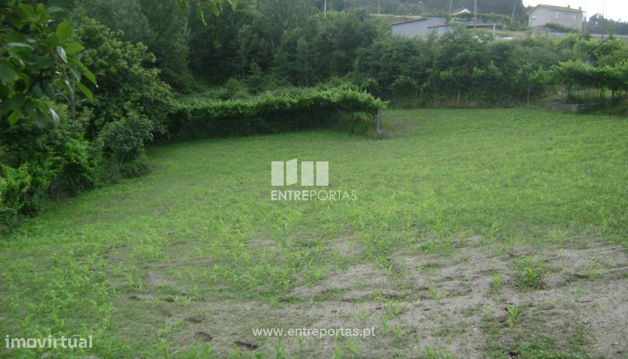 Venda Terreno, Paredes de Viadores, Marco de Canaveses - Grande imagem: 3/15