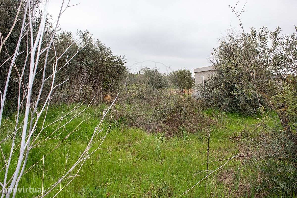 Terreno  para venda - Grande imagem: 4/23