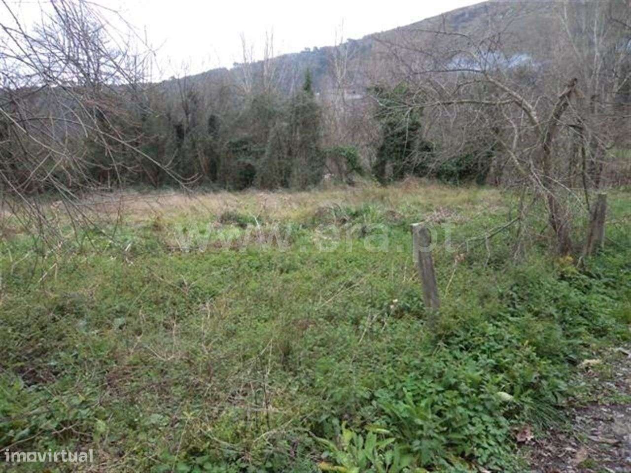 Terreno com 1.000 m2 em Fornelos - Grande imagem: 3/3