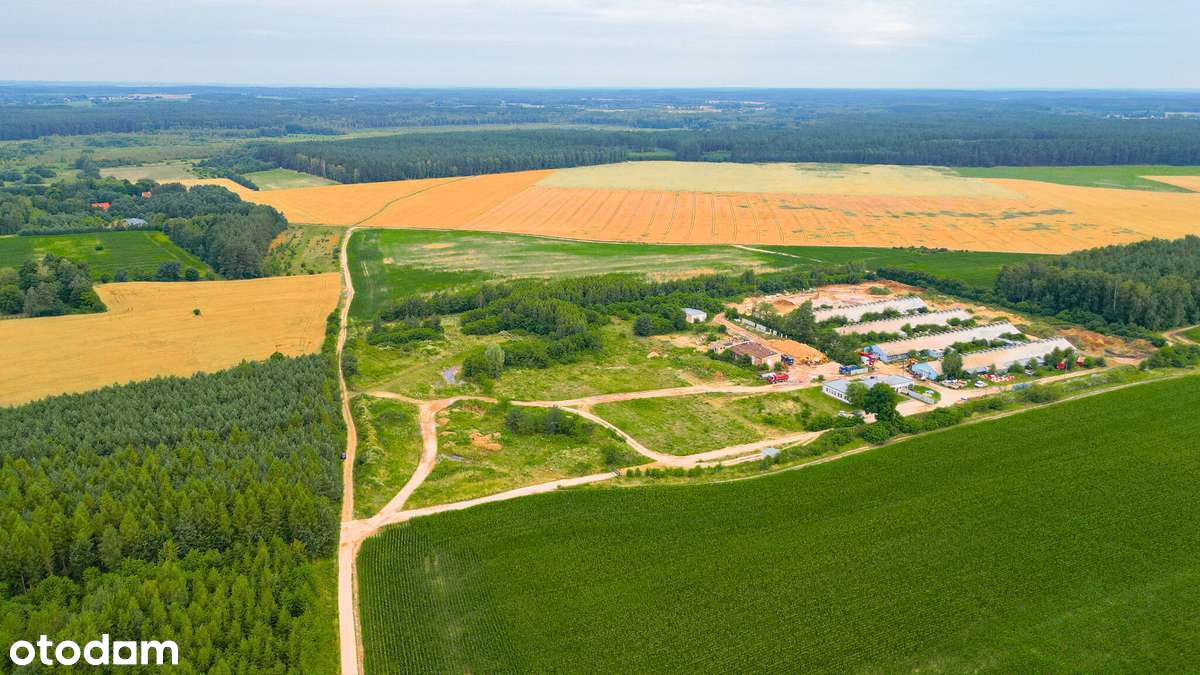 Działka przemysłowo-usługowa tuż przy węźle dróg ekspresowych S7 i S51 - Pełny obrazek: 4/6