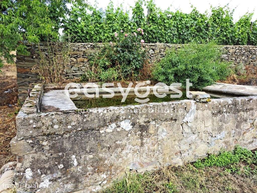 Terreno para construção na aldeia de Sequeiros, Torre de Moncorvo - Grande imagem: 5/20