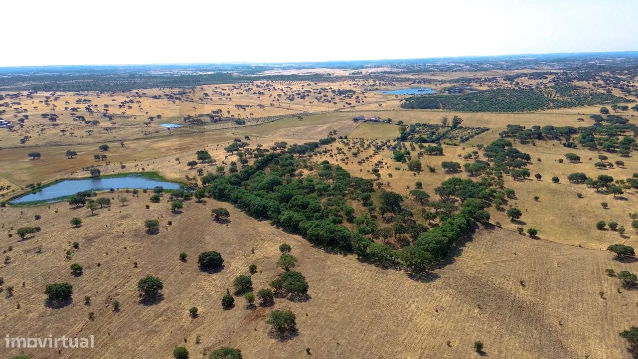 Oportunidade Única em Almodôvar – Terreno com 4 hectares à Venda! - Grande imagem: 4/21