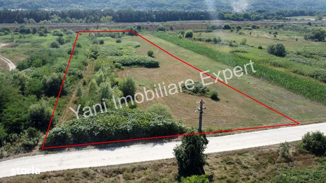 Teren de vânzare în comuna Băiculești, Județ Argeș ( 8229 mp ) - Imagine principală: 4/13