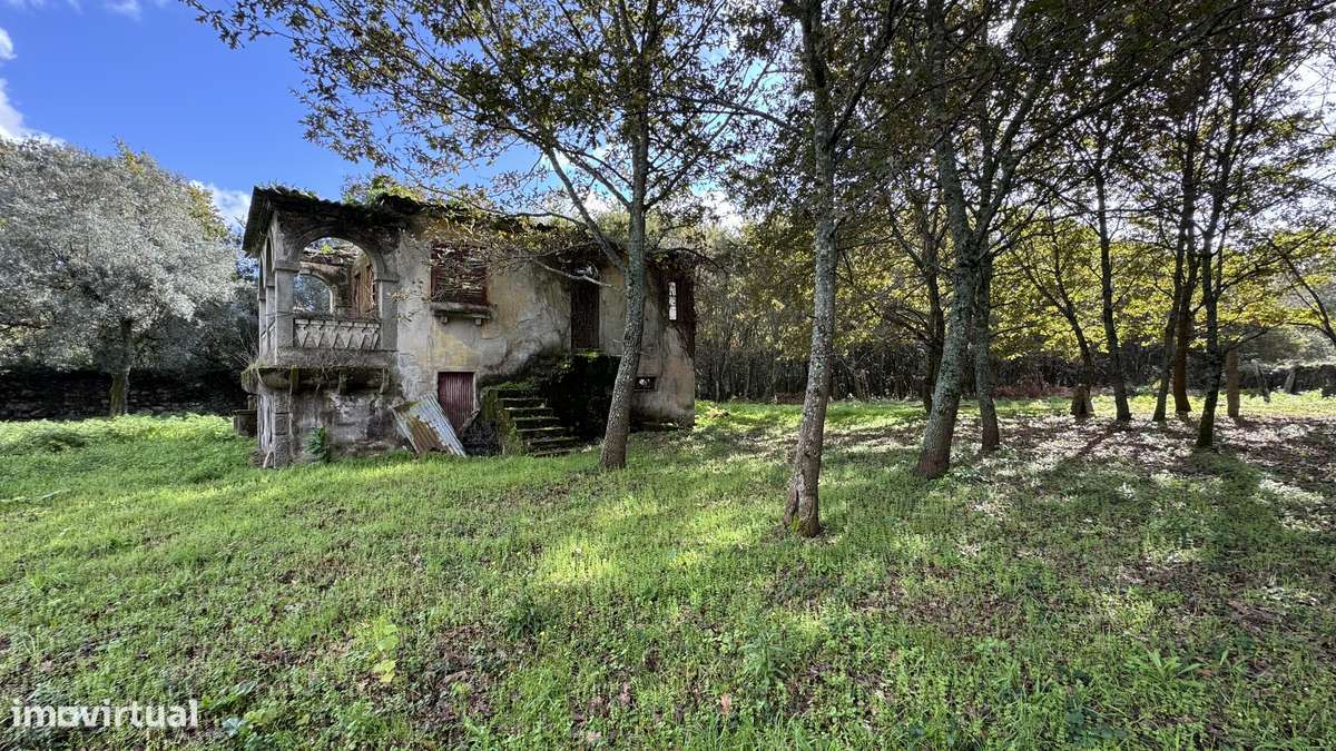 Ruína  9700m2 - vedada em pedra - Vila Cova-2