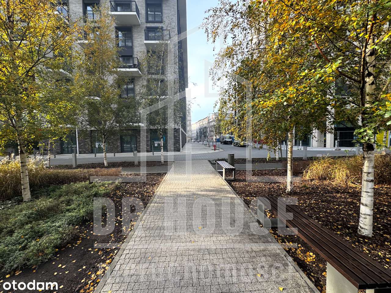 Upper House | WALOŃSKA | Duże Witryny | 98,73m2 | 100zł/m2 | 2 Wejścia - Pełny obrazek: 4/5