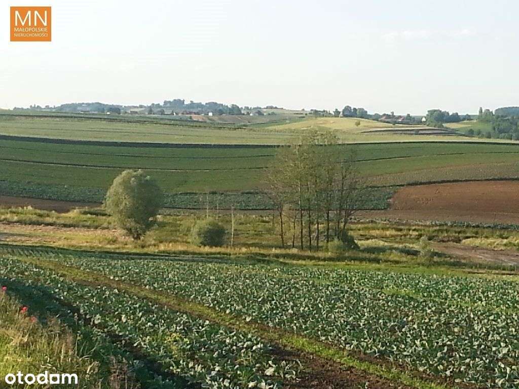 Kocmyrzów,Wronin,Proszowice,11a budowlana, - Pełny obrazek: 5/9
