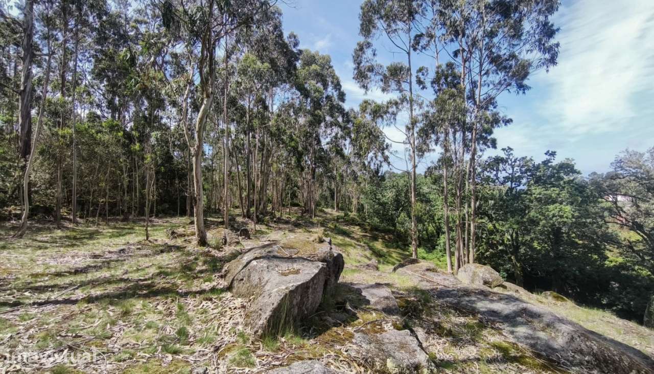 Venda de Quinta, Areosa, Viana do Castelo-13