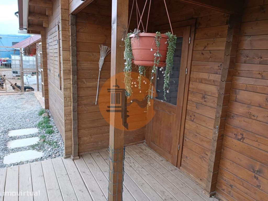 TERRENO COM 11.360 M2 - ALCARIAS GRANDES - AZINHAL - CASTRO MARIM -... - Grande imagem: 4/27