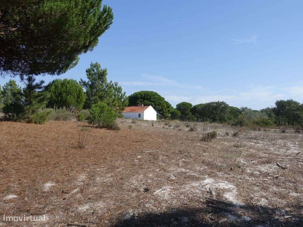 Terreno com 25 hectares em Grândola - Grande imagem: 4/19