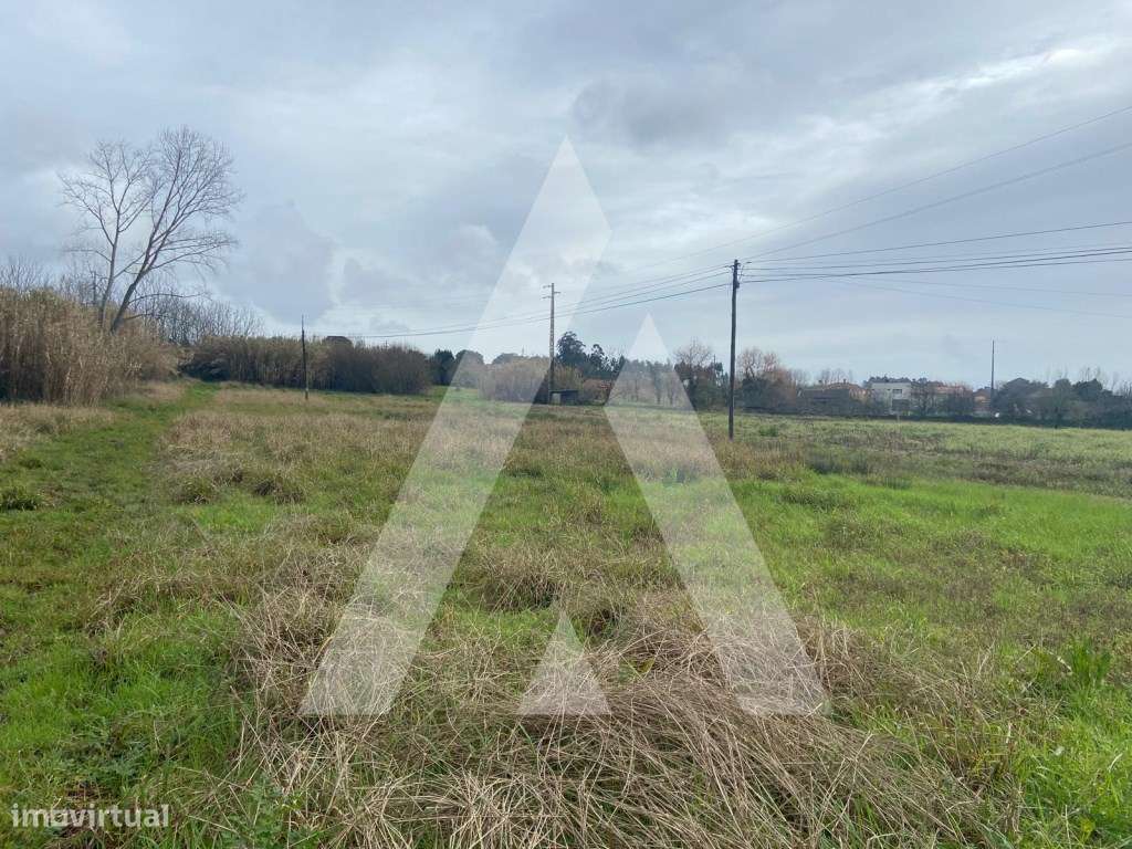 terreno na Amoreira da Gândara em Anadia - Grande imagem: 2/6