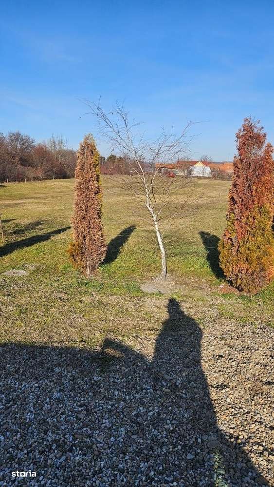 Teren 7600 mp frt.40 ml Baile 1 Mai Pud-Puz la zi ( 2D+P + 5 ), POT 70 - Imagine principală: 3/6