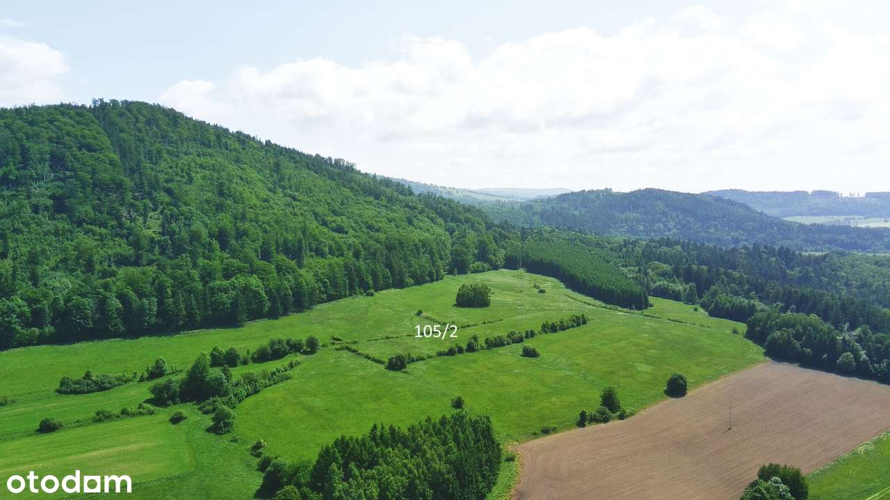 Na Sprzedaż Pięknie Położony Grunt Rolny w Kotlinie Kłodzkiej - Pełny obrazek: 5/20