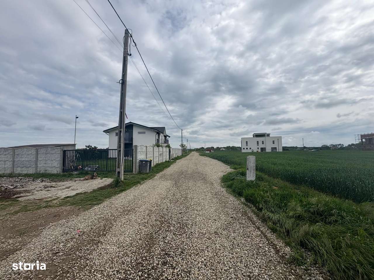 Oferta! Teren 5.000mp in comuna Balotesti cu deschidere la lac - Imagine principală: 3/6