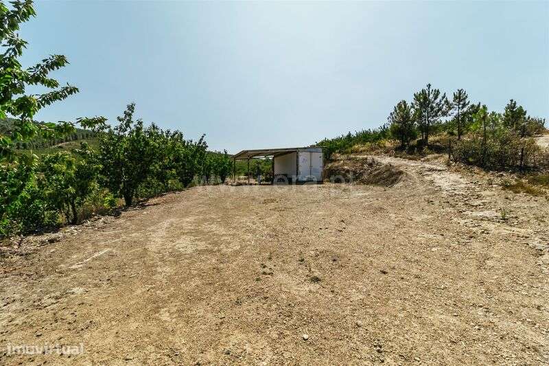 Terreno / Fundão, Castelejo - Grande imagem: 4/19