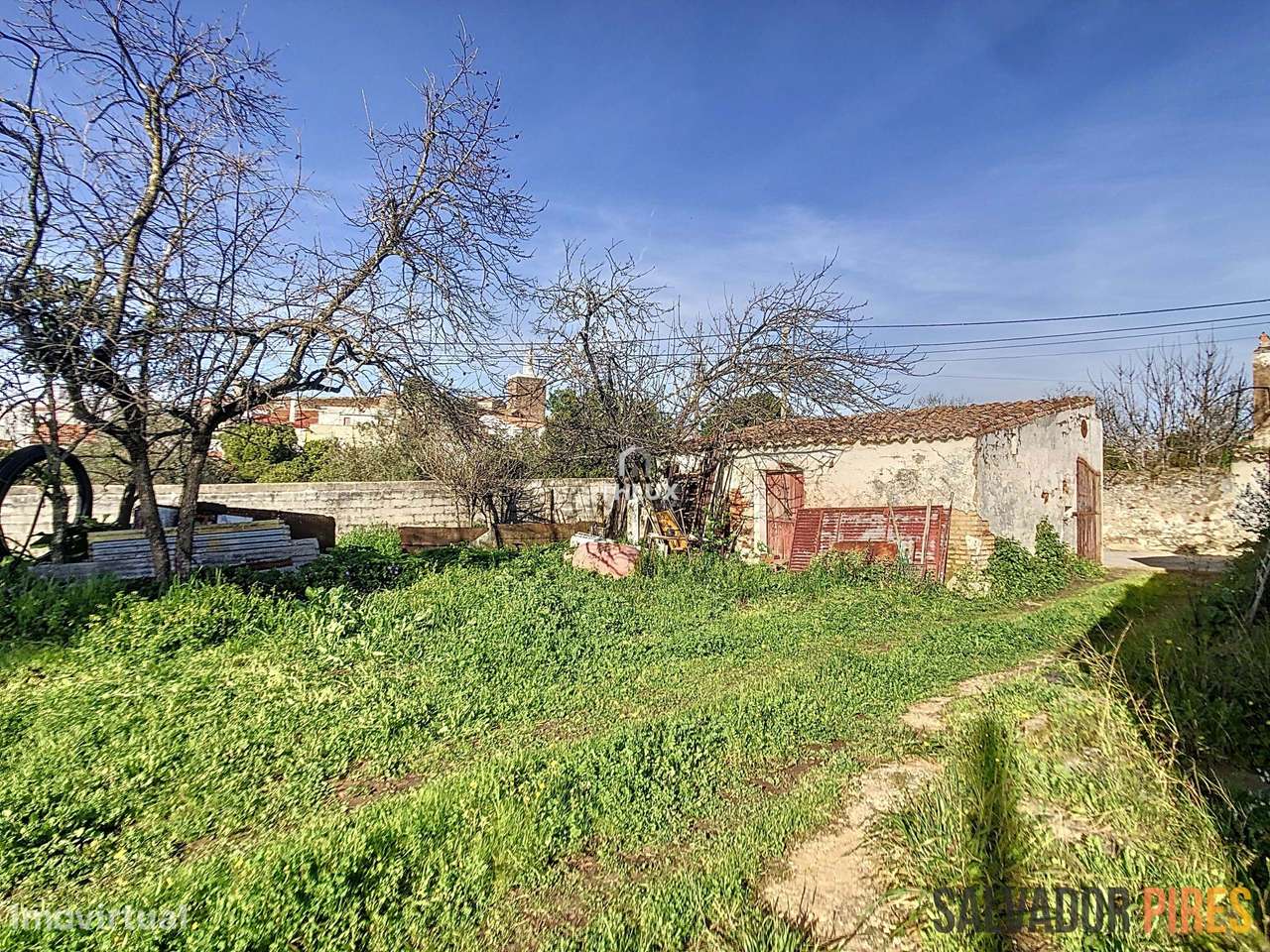 Quinta em plena vila de Alandroal - Grande imagem: 4/27