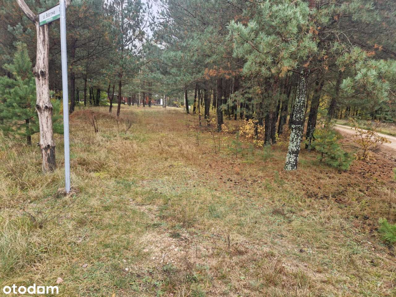 Dwie działki w Suchej Rzeczce po 1000 m2 - Pełny obrazek: 4/4