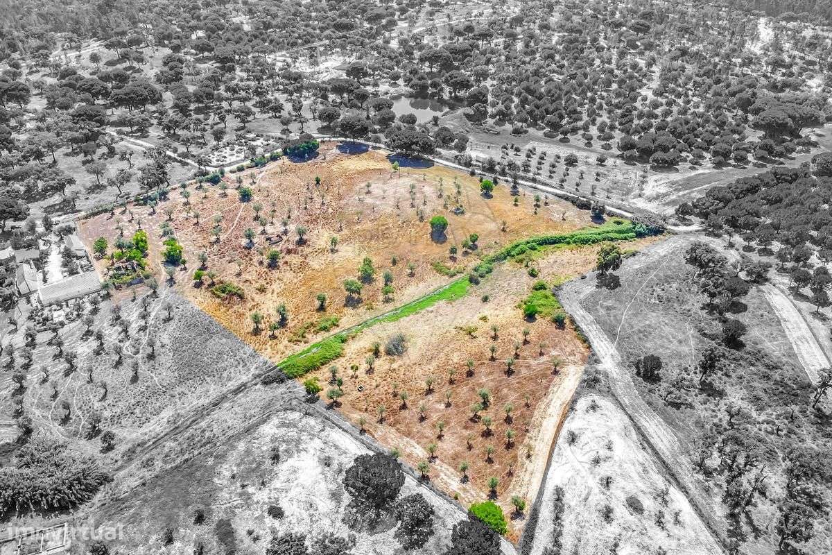 Quinta T5 para venda - Grande imagem: 2/10