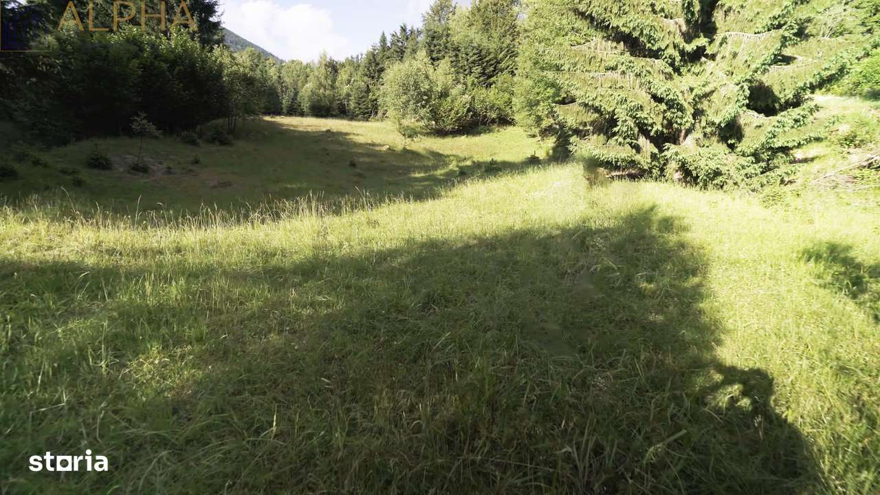 Teren Intravilan de 1.7 Hectare în Colibita - Imagine principală: 5/8